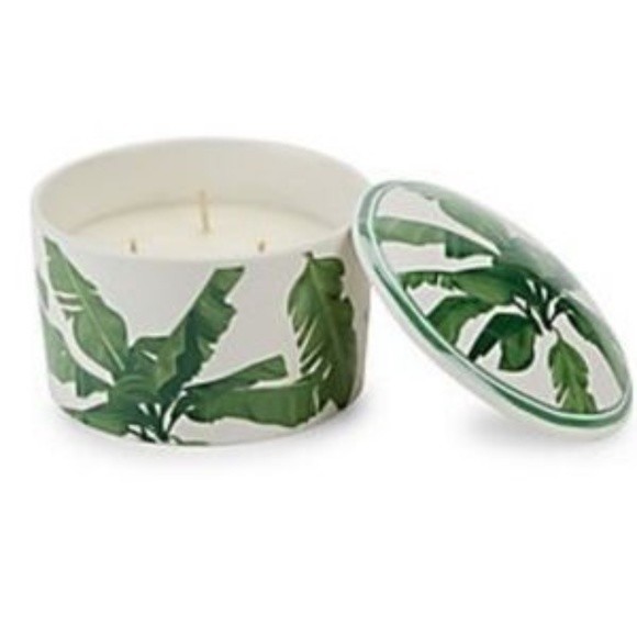D.L. & Co 3 Wick Candle Reusable Lidded Ceramic Dish Palm Leaf Brazilian Guava - Picture 5 of 5
